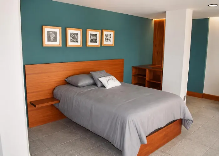 Appartement Loft Calzada De Leones Mexico